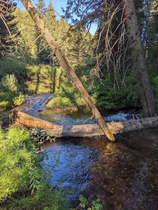 Trail Creek Campground Picture 1