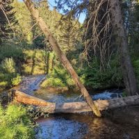 Trail Creek Campground ico