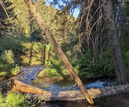 Trail Creek Campground