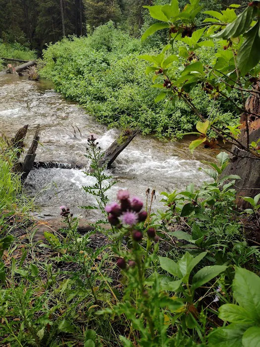 Trail Creek Campground Picture 5