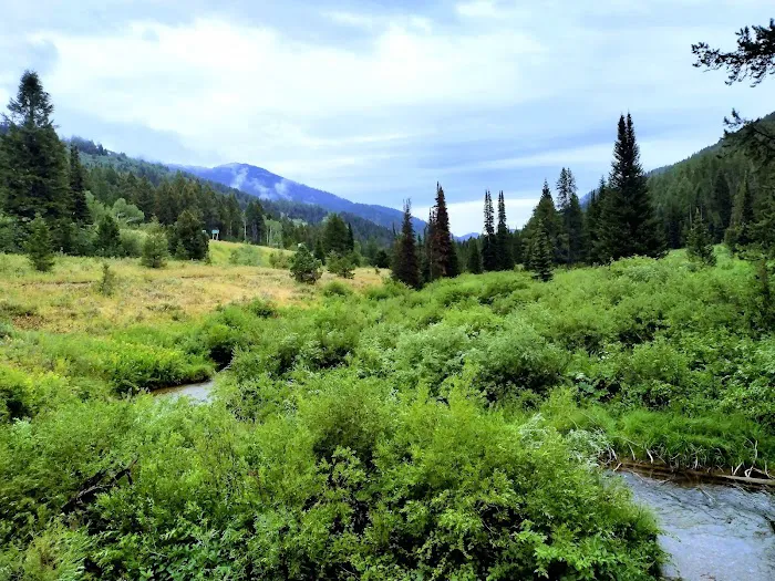 Trail Creek Campground Picture 6