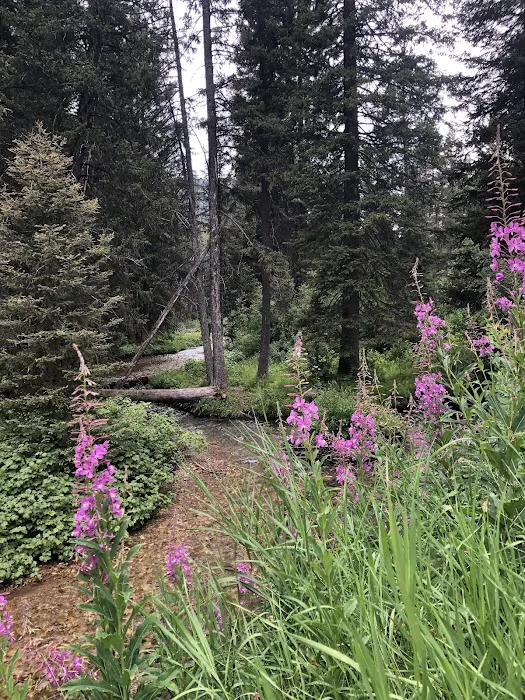 Trail Creek Campground Picture 10