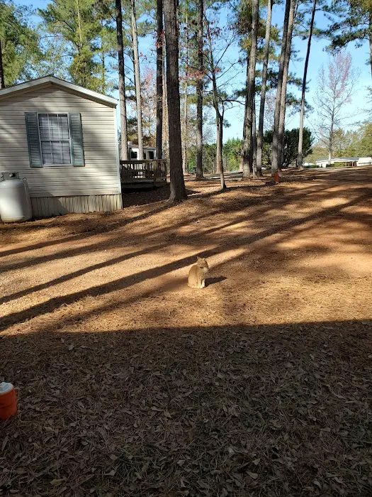 The Point RV at Lake Hartwell Picture 4