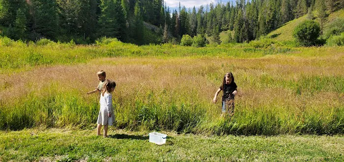 West Piney Recreation Camp Picture 7