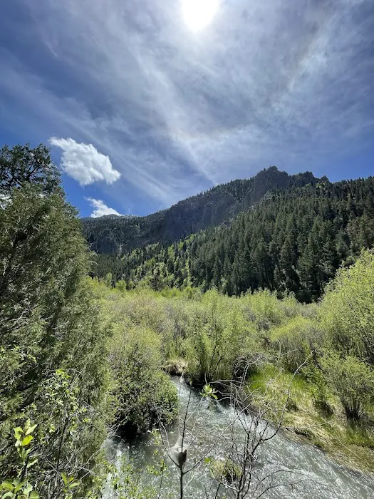 West Piney Recreation Camp Picture 10