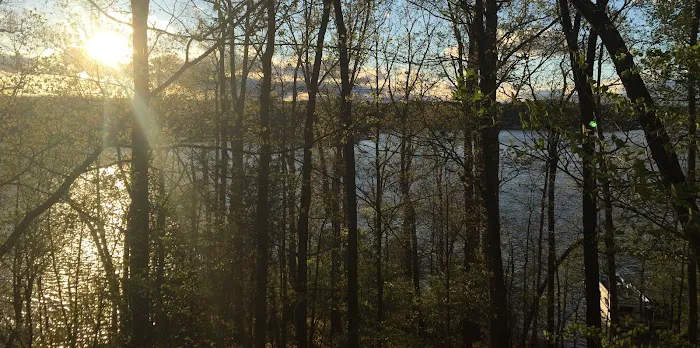 Little Creek RV and Tiny House Resort Picture 4