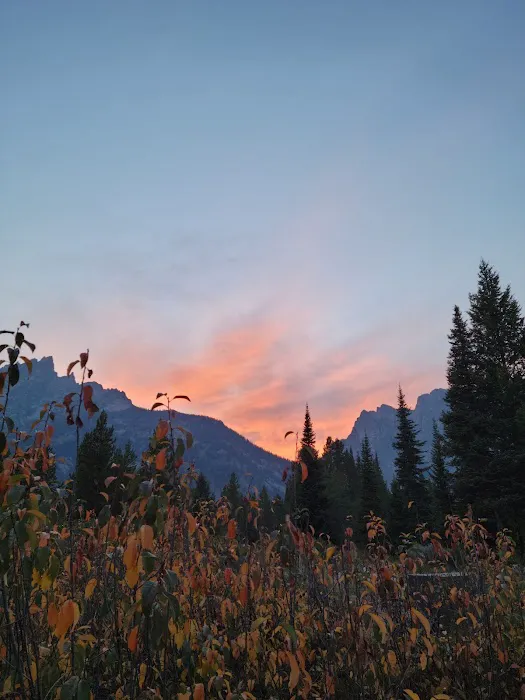 Jenny Lake Campground Picture 5