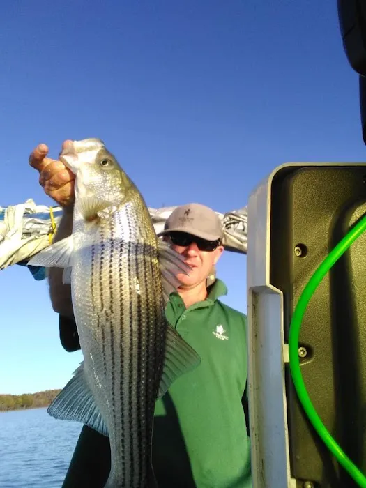 Oak Park Resort Picture 5