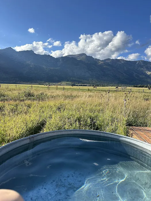 Tammah Jackson Hole Picture 1