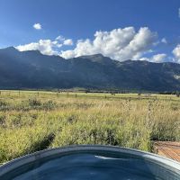 Tammah Jackson Hole ico