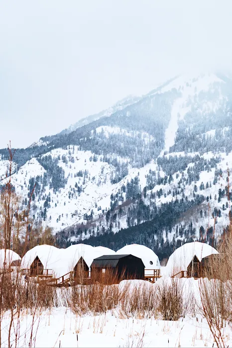 Tammah Jackson Hole Picture 9