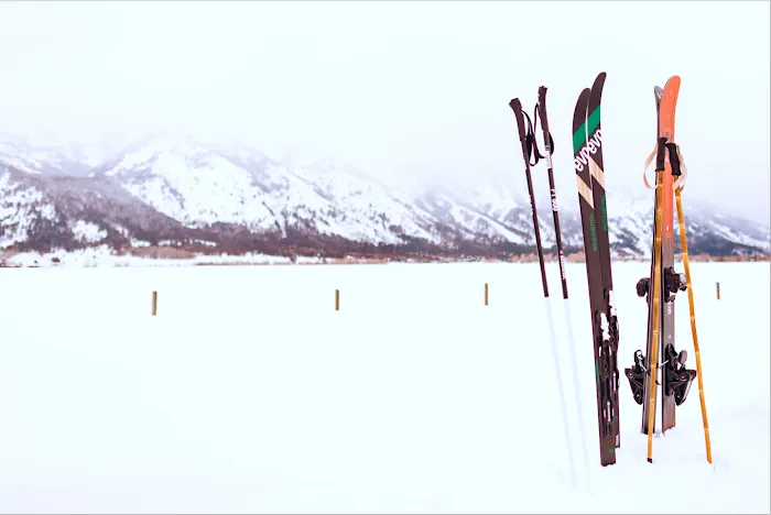 Tammah Jackson Hole Picture 8