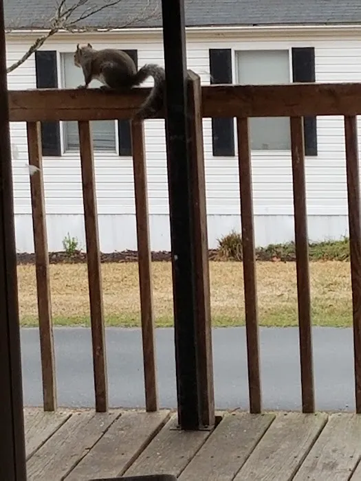 Near Lakes Mobile Home Community Picture 5