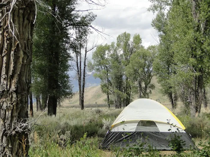 Gros Ventre Campground Picture 2