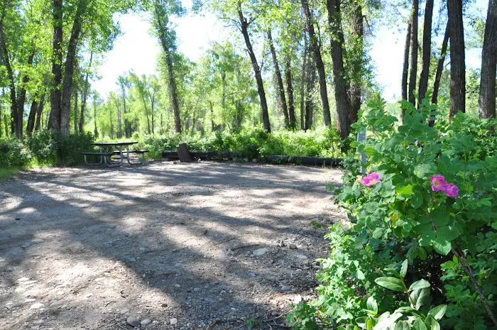 Gros Ventre Campground Picture 6