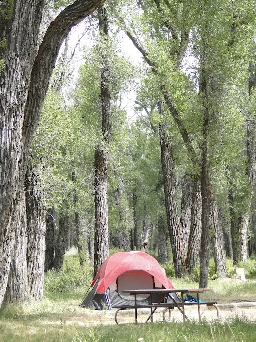 Gros Ventre Campground Picture 7