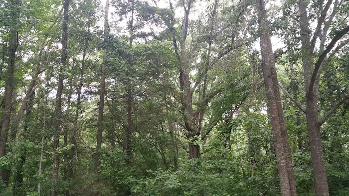 Hartwell Village Mobile Home Picture 1