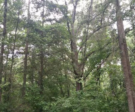 Hartwell Village Mobile Home