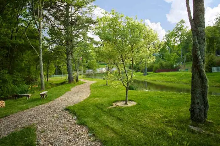 Wildflower Creek Motor Coach Resort Picture 4