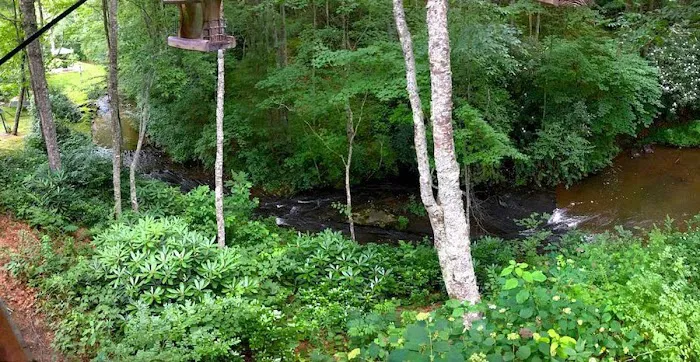 Wildflower Creek Motor Coach Resort Picture 7