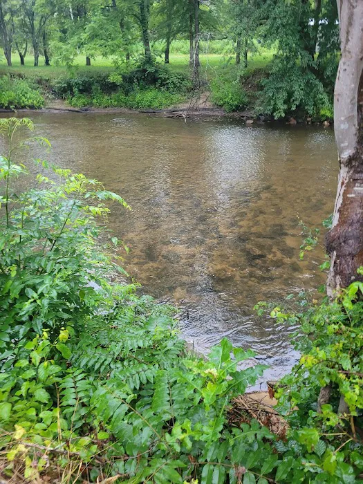 Cullasaja River RV Park Picture 5