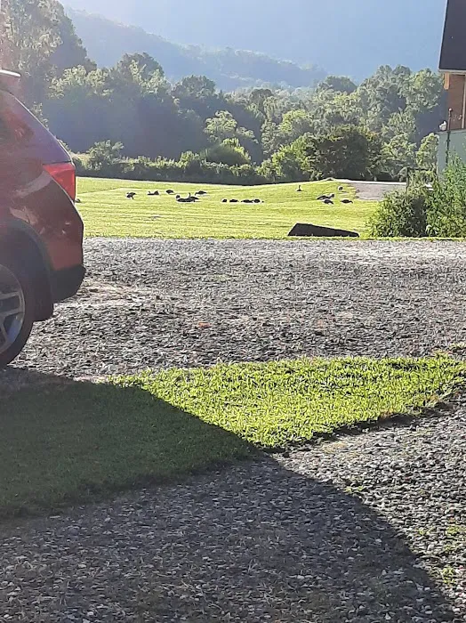 Cullasaja River RV Park Picture 6