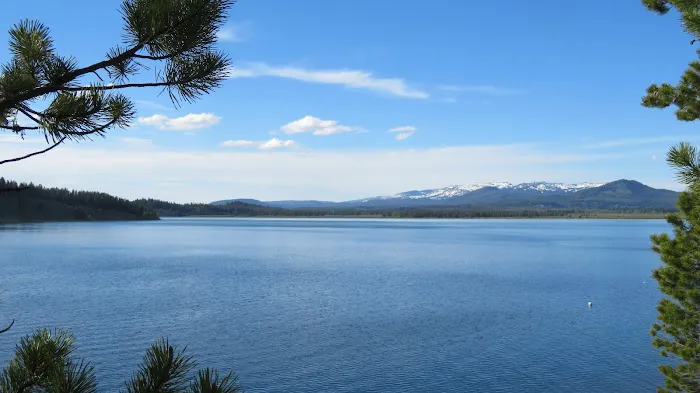 Signal Mountain Campground Picture 8