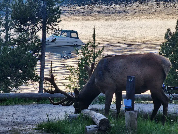 Signal Mountain Campground Picture 10