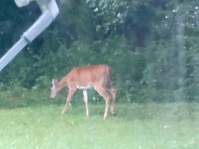 Sky High Ridge RV Campground Picture 4