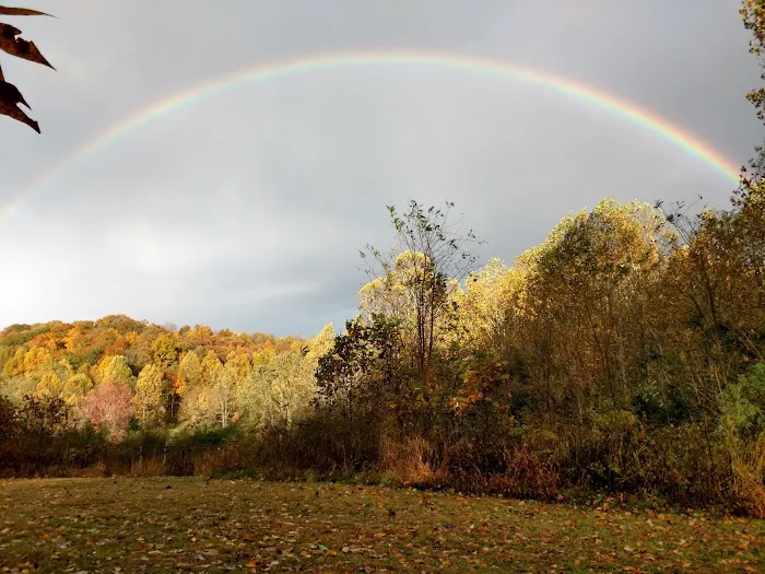 Sky High Ridge RV Campground Picture 3