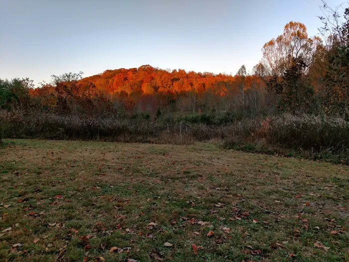 Sky High Ridge RV Campground Picture 5