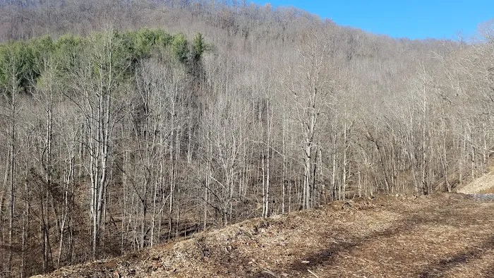 SouthPaw RV Sites Picture 2