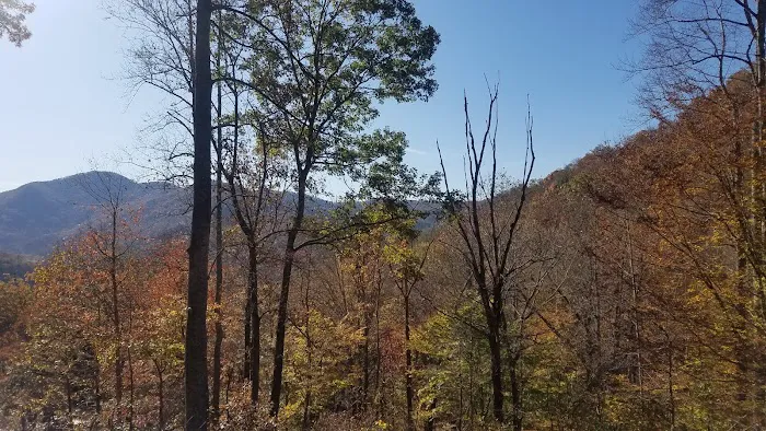 SouthPaw RV Sites Picture 1