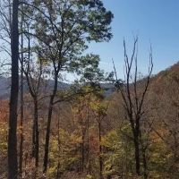 SouthPaw RV Sites ico