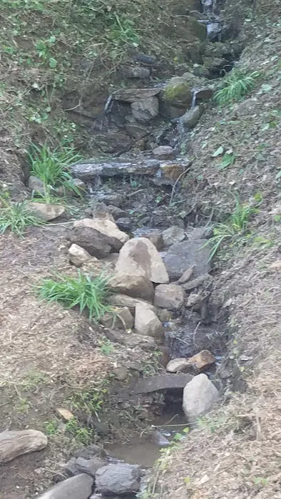 SouthPaw RV Sites Picture 8