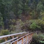 Palisades Creek Campground