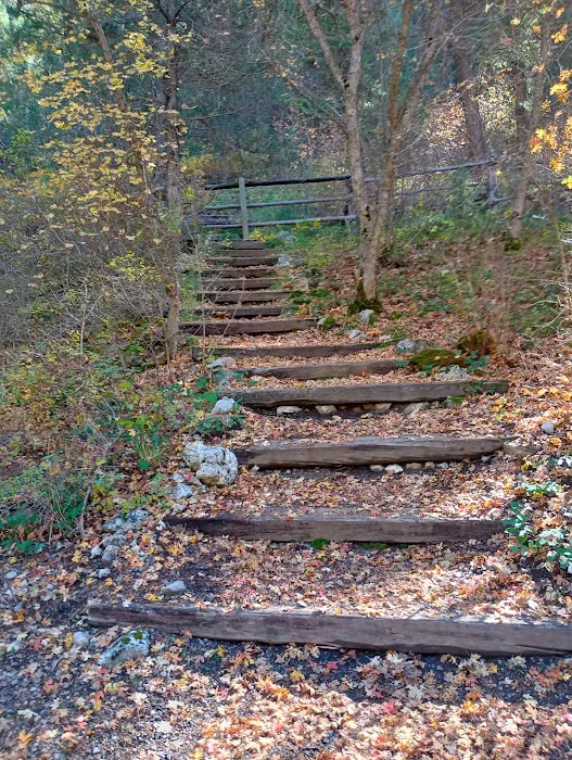 Palisades Creek Campground Picture 7