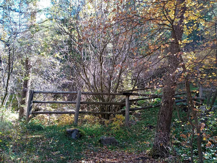 Palisades Creek Campground Picture 10