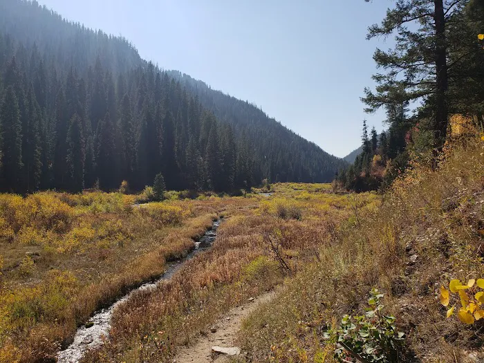 Palisades Creek Campground Picture 9