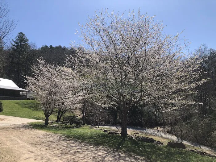 Cardinal Ridge Farm RV Resort Picture 5