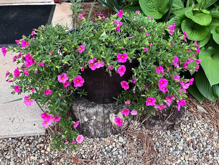 Franklin RV Park & Campground Picture 7