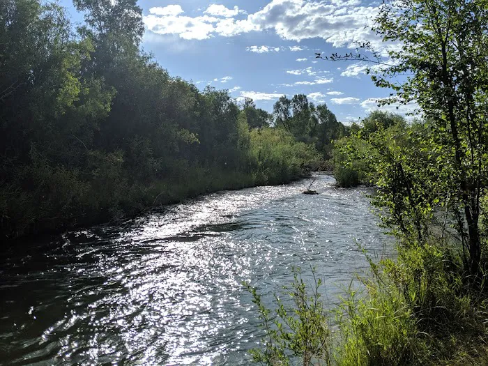 Falls Campground Picture 4