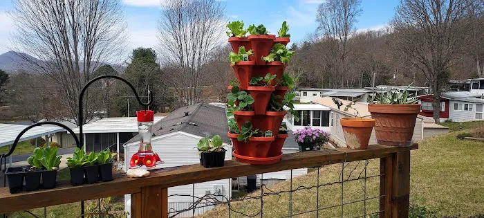 Pine Hill Park Picture 1