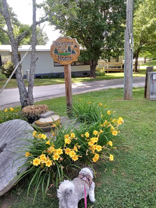 Pine Hill Park Picture 3