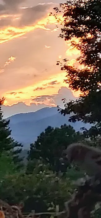 Pine Hill Park Picture 7