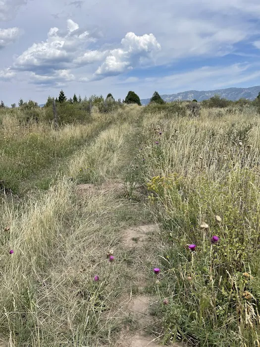 Falls Campground Picture 6