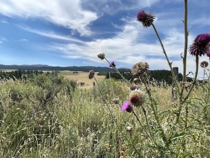 Falls Campground Picture 4