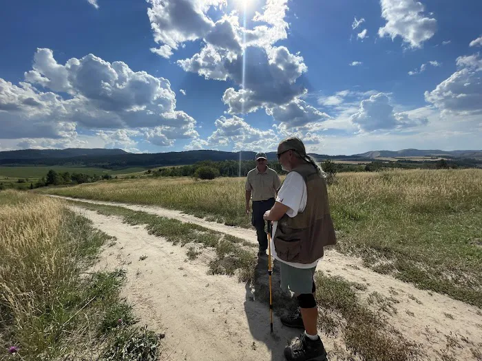 Falls Campground Picture 10