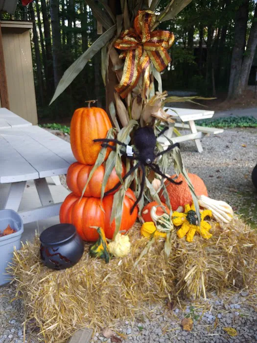 Country Woods RV Park Picture 5