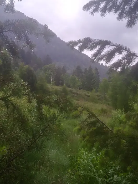 Big Elk Campground Picture 5